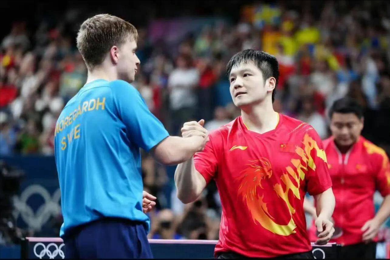 英国乒乓球队碾压波兰乒乓球队，樊振东送出助攻的简单介绍