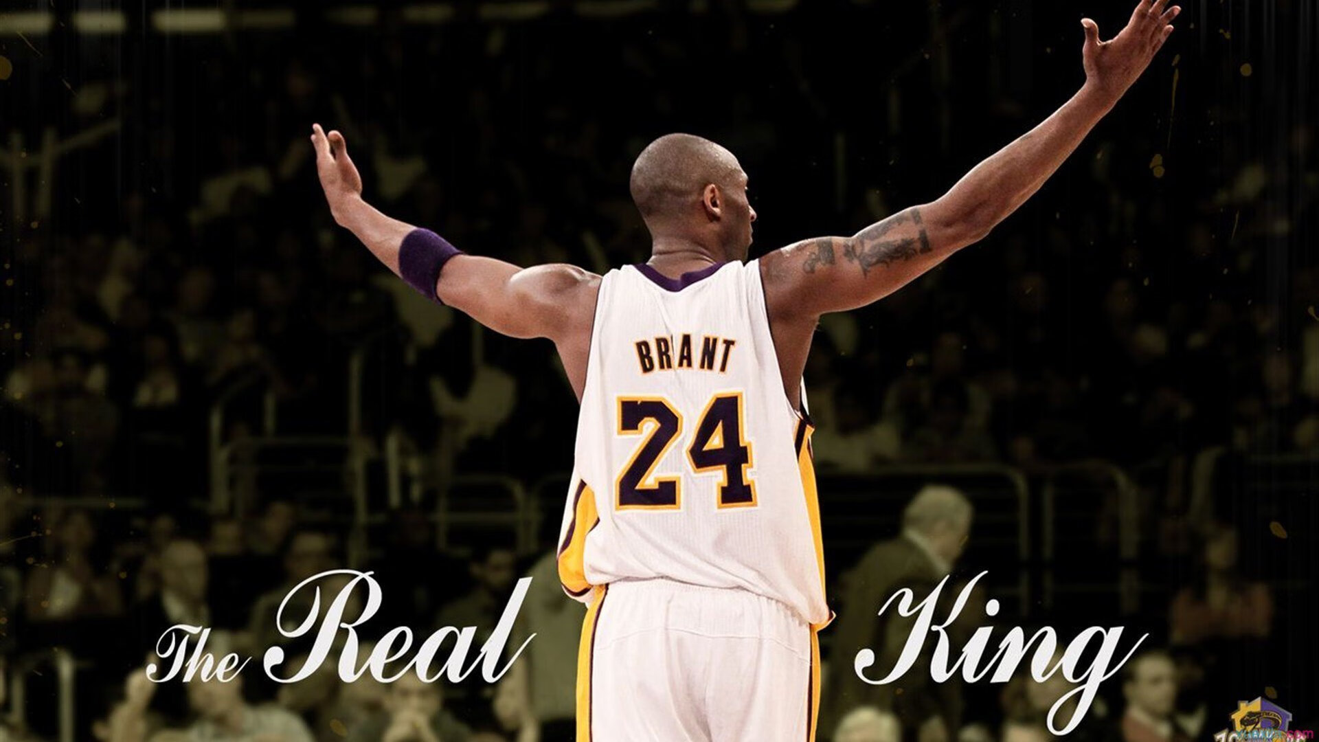 开云体育官方网站-双线奇迹，黄蜂逆袭宏远王朝，爱德华兹西决封神之战